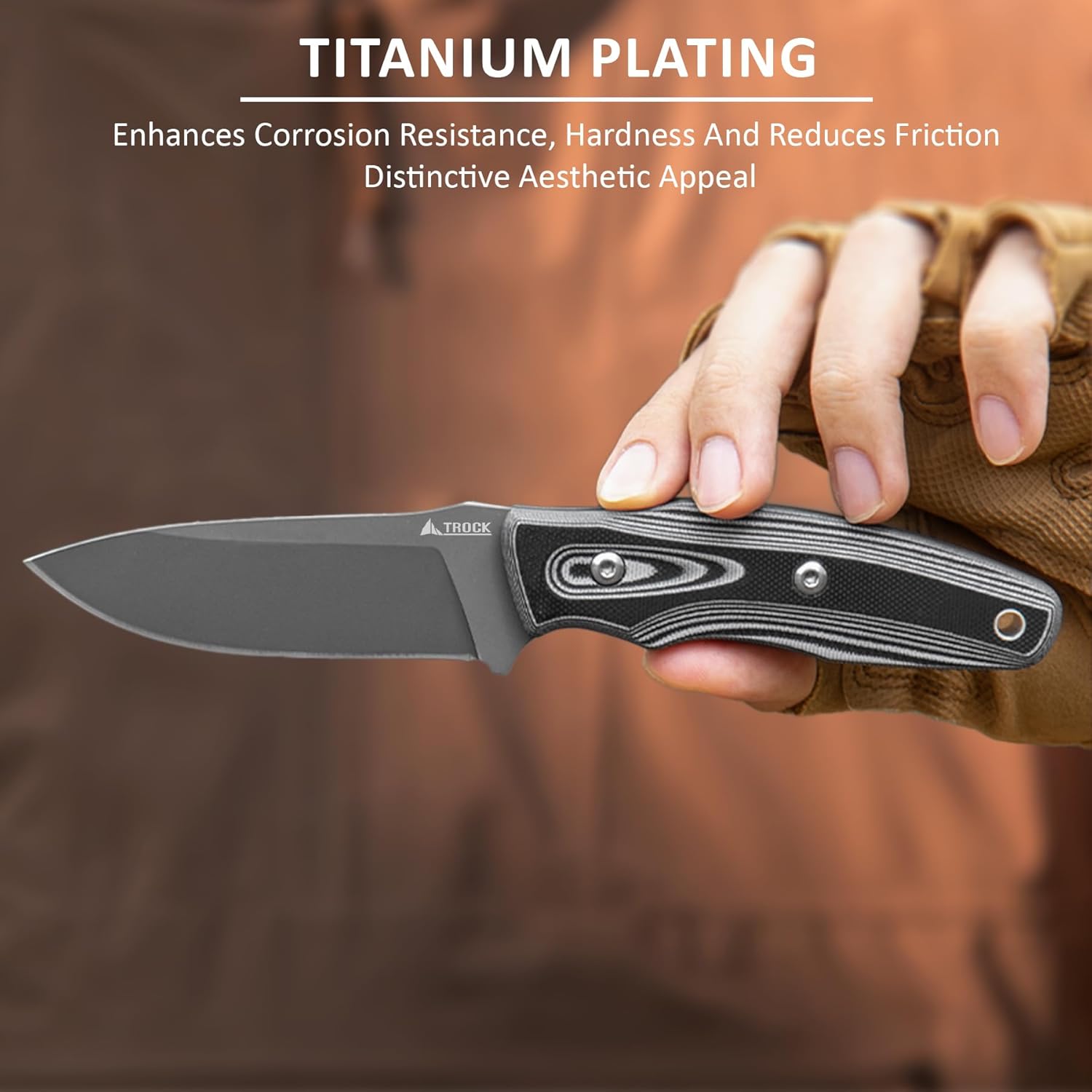 Fixed Blade Knife with Sheath 3.62” Drop Point D2 Blade Titanium Plating and Small Fixed Blade Knife 2.36” Drop Point D2 Blade