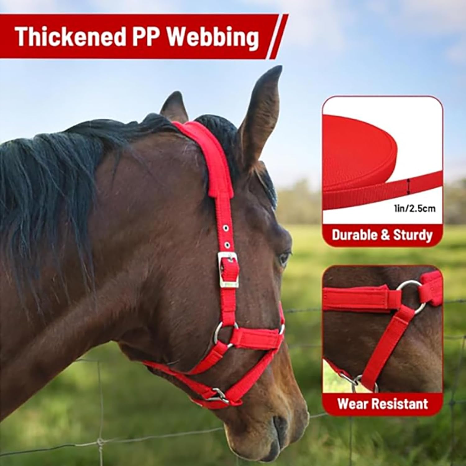 Horse Halter with Wool Lining, Adjustable Halter for Horses Satin Hardware to Prevent Friction, Breakaway Halters for Horses，Fits Pony, Yearling, Draft Horses (Red, M)