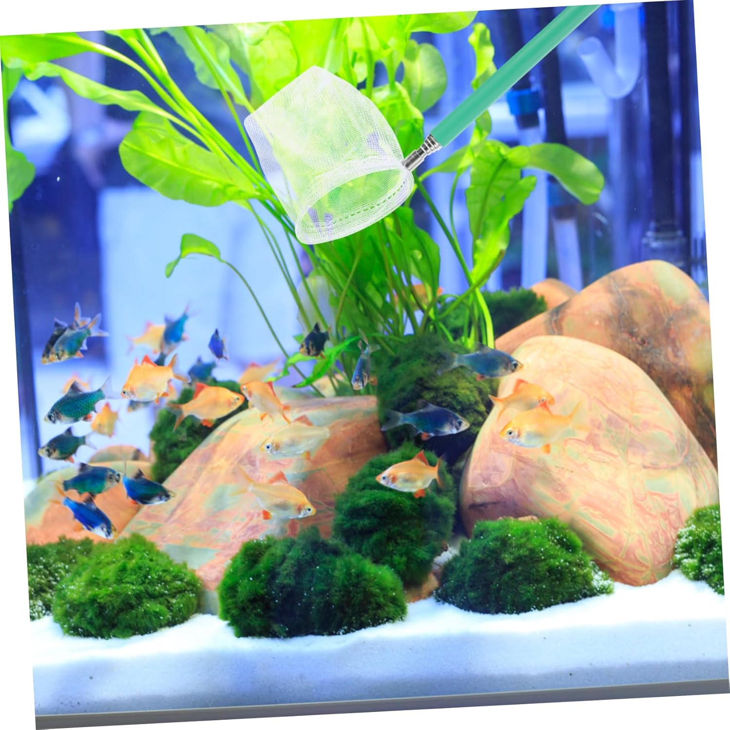 GANAZONO Fish Tank Shrimp Fishing Net Carp Fishing Landing Net Hocking Tanks Catchers Fishnet Fish Tank Breeding