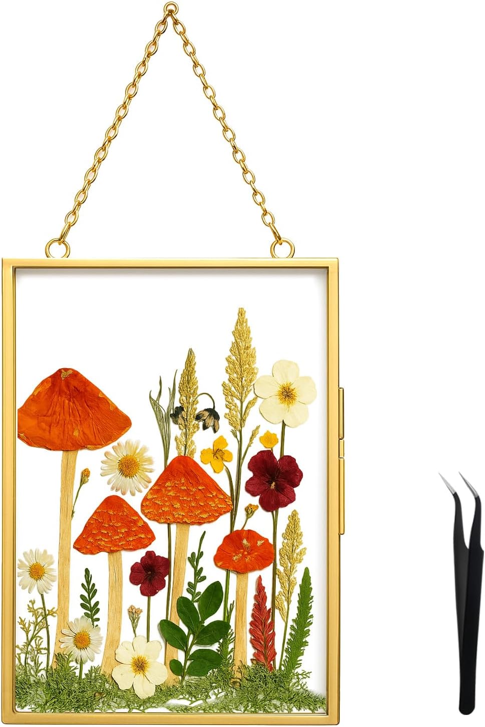 BABUFINE 6PCS Pressed Flower Frames with Tweezers, Wall Hanging Double Glass Picture Frames with Chain for Dried Flowers Plants Wall Decor,Only Frame (Gold-6PCS)