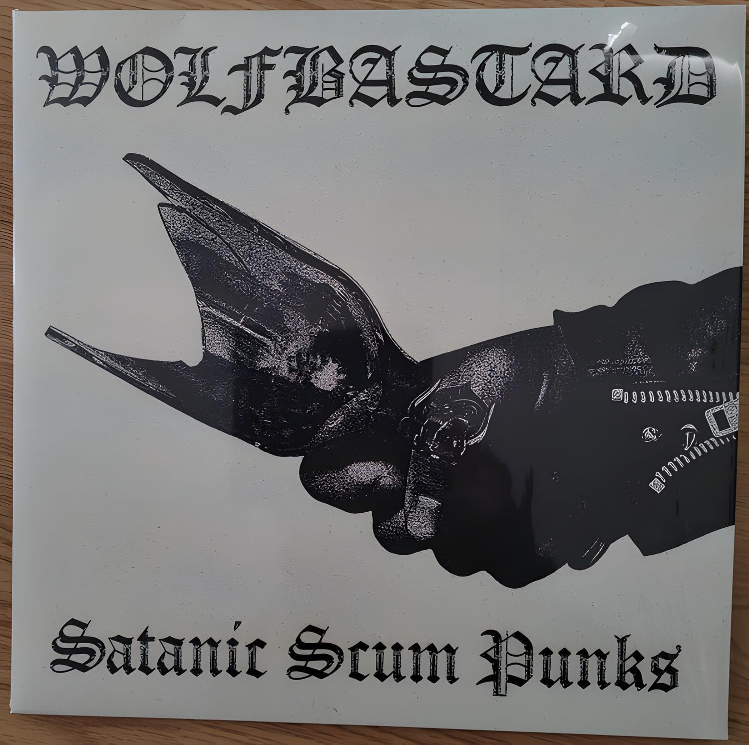 SATANIC SCUM PUNKS [VINYL]