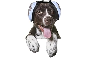 2024 Newly Dog Ear Muffs: Protect Your Pup's Ears from Noise