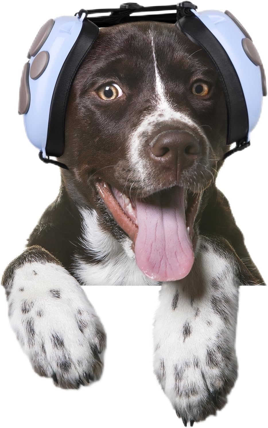 Upgraded Dog Ear Muffs for Noise Protection – 22dB NRR Noise Cancelling Headphones with Dog Paw Design, Calming Earmuffs for Thunder, Fireworks & Hunting (M, Light Blue-Gray)