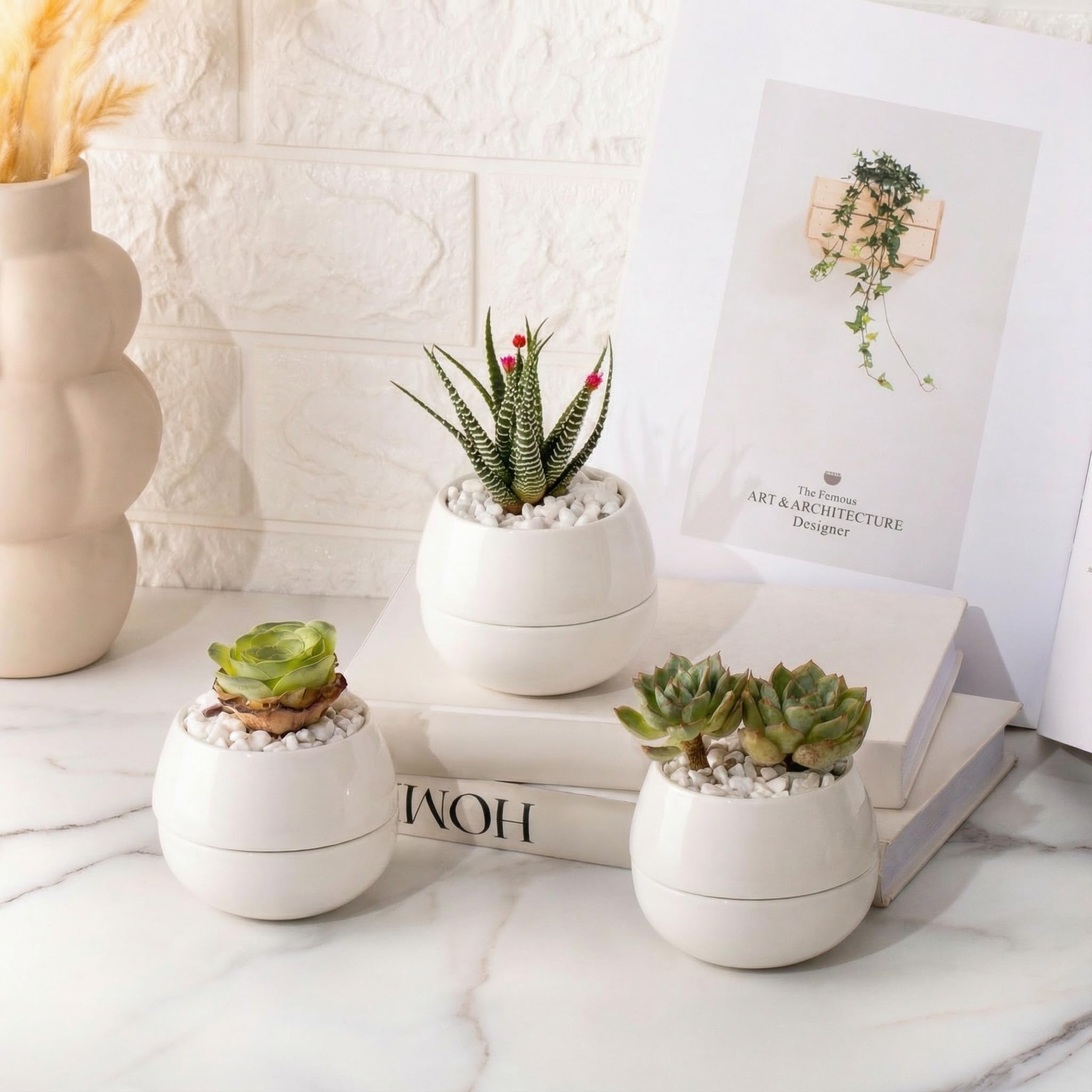Pod mini ホワイト 3台 Amazon.com: Willowy 3.5 Inch Small Succulent Pots - 3pk, Mini