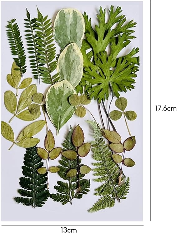 Real Dried Pressed Leaves, 21PCS Natural Dried Leaf, 7 Styles