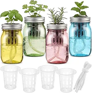 4-Piece Colored Hydroponic Mason Garden Jar Set, 16 oz Self-Watering Herb Planter Kit