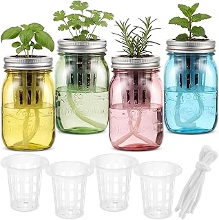 4 Set Colored Hydroponic Mason Garden Jar Bulk 16 oz Self Watering Herb ...
