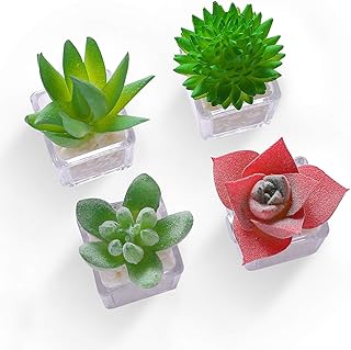 Hey Foly Cute Succulent Refrigerator Magnets Plants Fridge Magnets,Mini Artificial Magnets for Refrigerator Set of 4,Decor...
