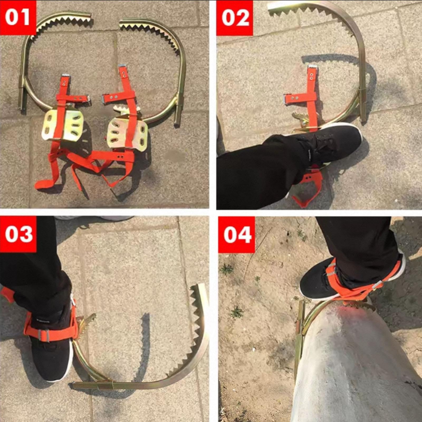 Crampons Professionnels pour l'élagage et l'entretien des Arbres et poteaux