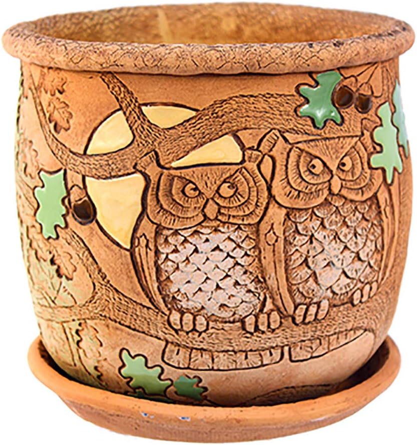 Books.And.More Succulent Planter Ceramic Planter 5-inch Flower Pot Kitchen Plant Pot (Other)
