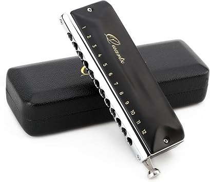 JDR Quartz Chromatic Harmonica C Key 12 Holes 48 Tones Chromonica Half Valves Easy Bending No Sticky Valves Mouth Organ Harp for Beginner Adults Professional Player Parents