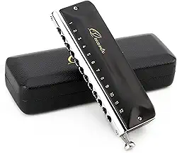 JDR Gaita cromática de quartzo, chave C, 12 furos, 48 tons, boca cromônica, órgão, chave de C, para crianças, iniciantes, adultos, jogadores profissionais, pais