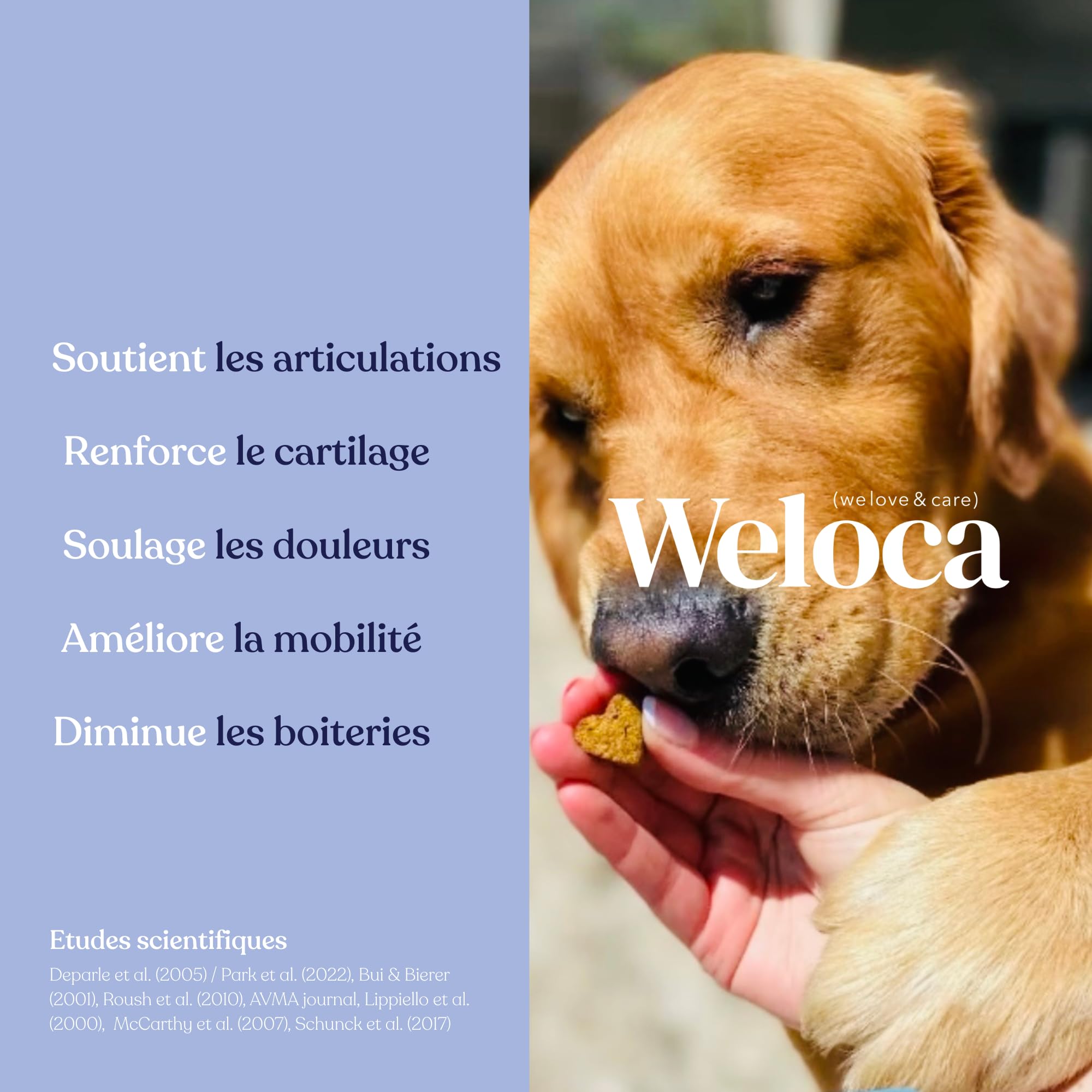 Arthrose Chien - 60 bouchées - 11 Actifs puissants (Glucosamine Chondroïtine, MSM, Moule Verte, harpagophytum) - Anti inflammatoire - Complement Alimentaire Chien - Nouveau Format