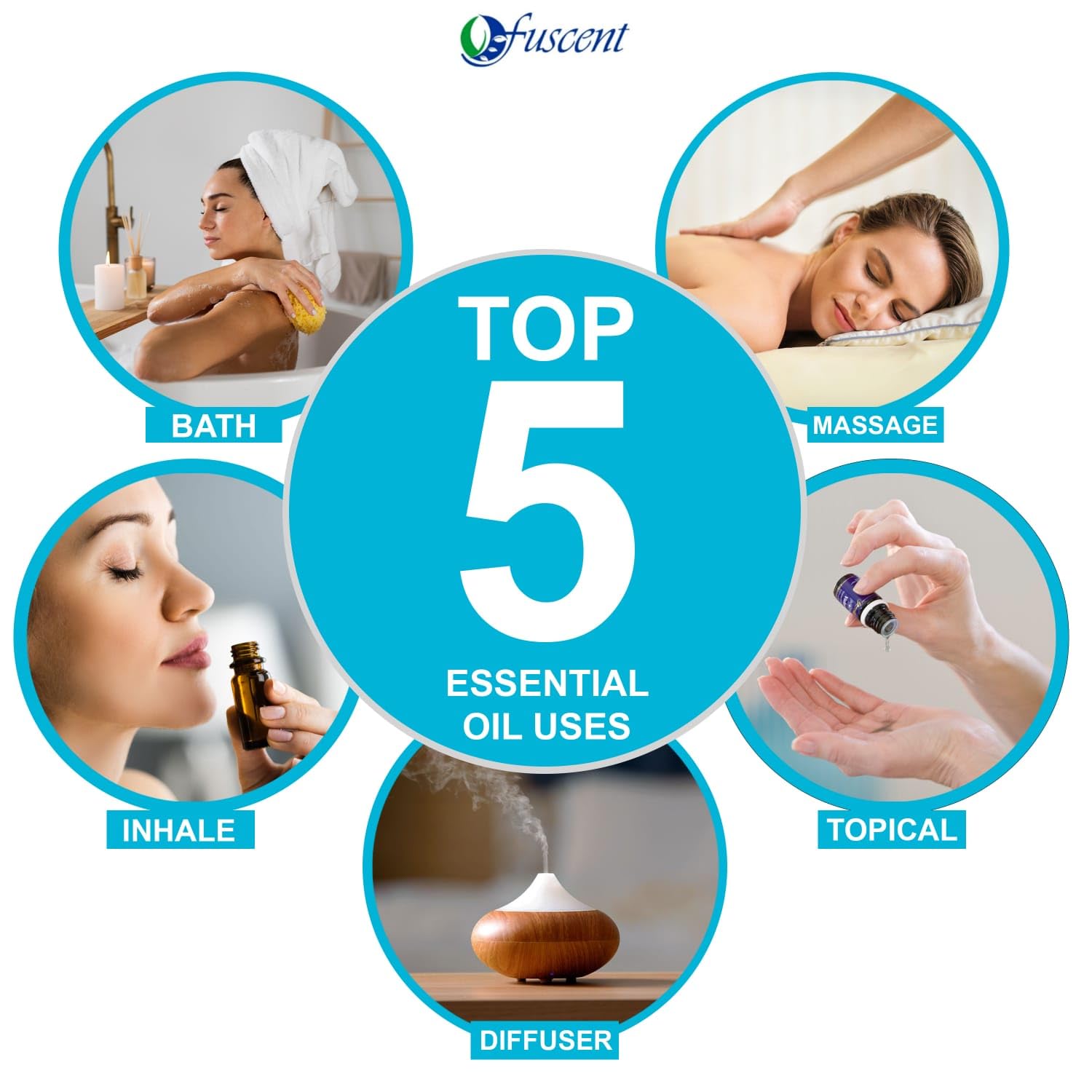 Jasmine Premium Essential Oil for Healthy Hair and Skin | Home fragrance & Soap Making, relaxation | Certified Oragnic 100% Pure Fresh And Undiluted | Natural Essential 0il 10ML Jasmine Premium Essential Oil for Healthy Hair and Skin | Home fragrance & Soap Making, relaxation | Certified Oragnic 100% Pure Fresh And Undiluted | Natural Essential 0il 10ML