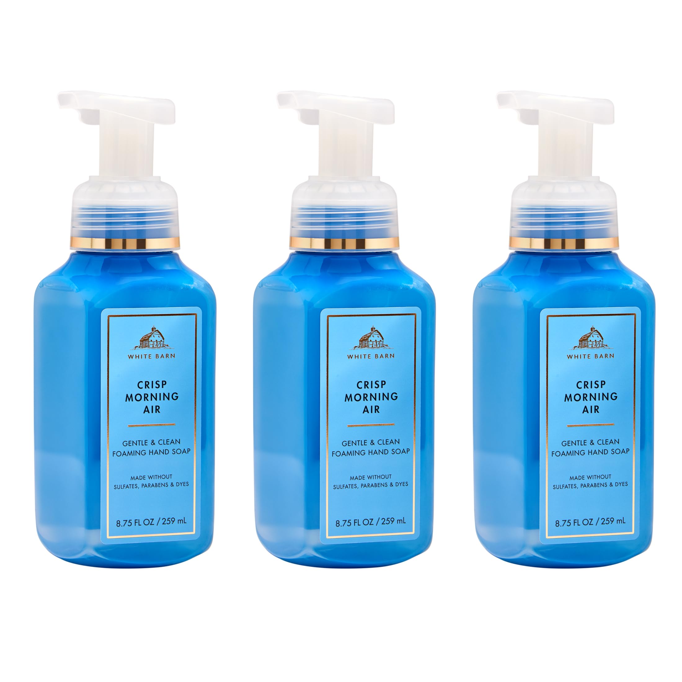 Bath & Body Works Foaming Hand Soap, Crisp Morning Air, 3 Pack