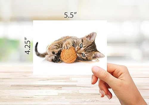 Miniatura 3 de Small World Greetings Playful Kitten Cards 12 unidades – Interior en blanco con sobres – Tamaño A2 (5.5 x 4.25 pulgadas) – Papelería de gato – Para