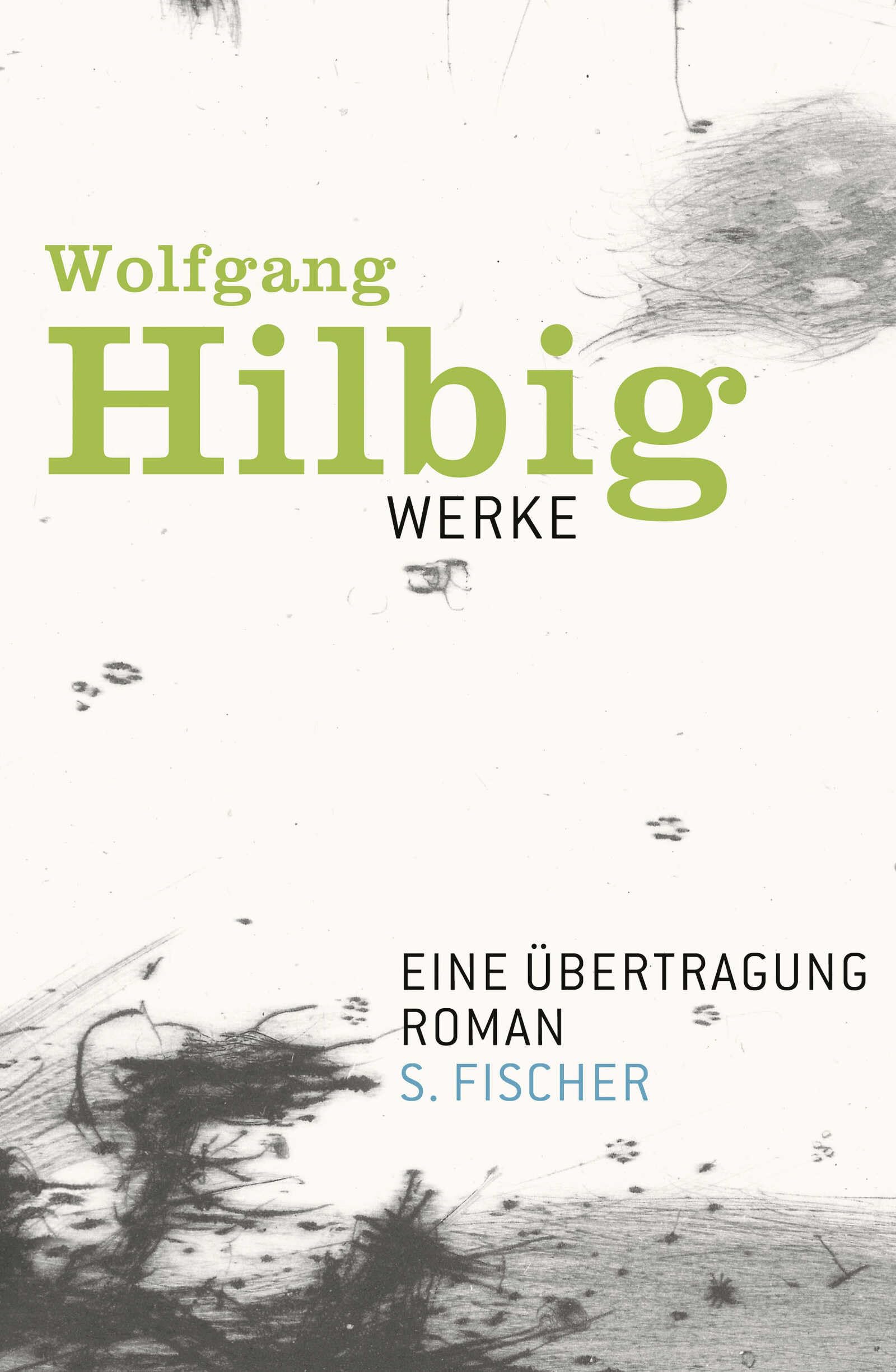 S. Fischer Eine Übertragung: Roman (Werke, Band 4)