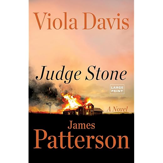 Judge Stone: A Novel