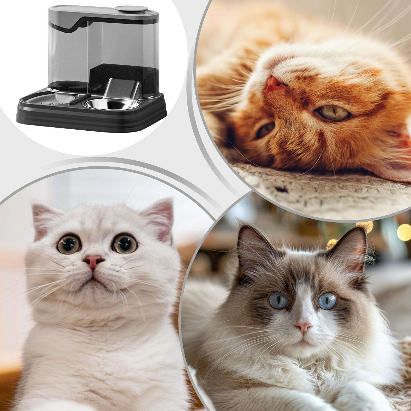 Comedero automático para Gatos， Comedero automático for Gatos y Perros | Bebedero for Mascotas, Ideal for Uso doméstico en Interiores Vacaciones(Black)
