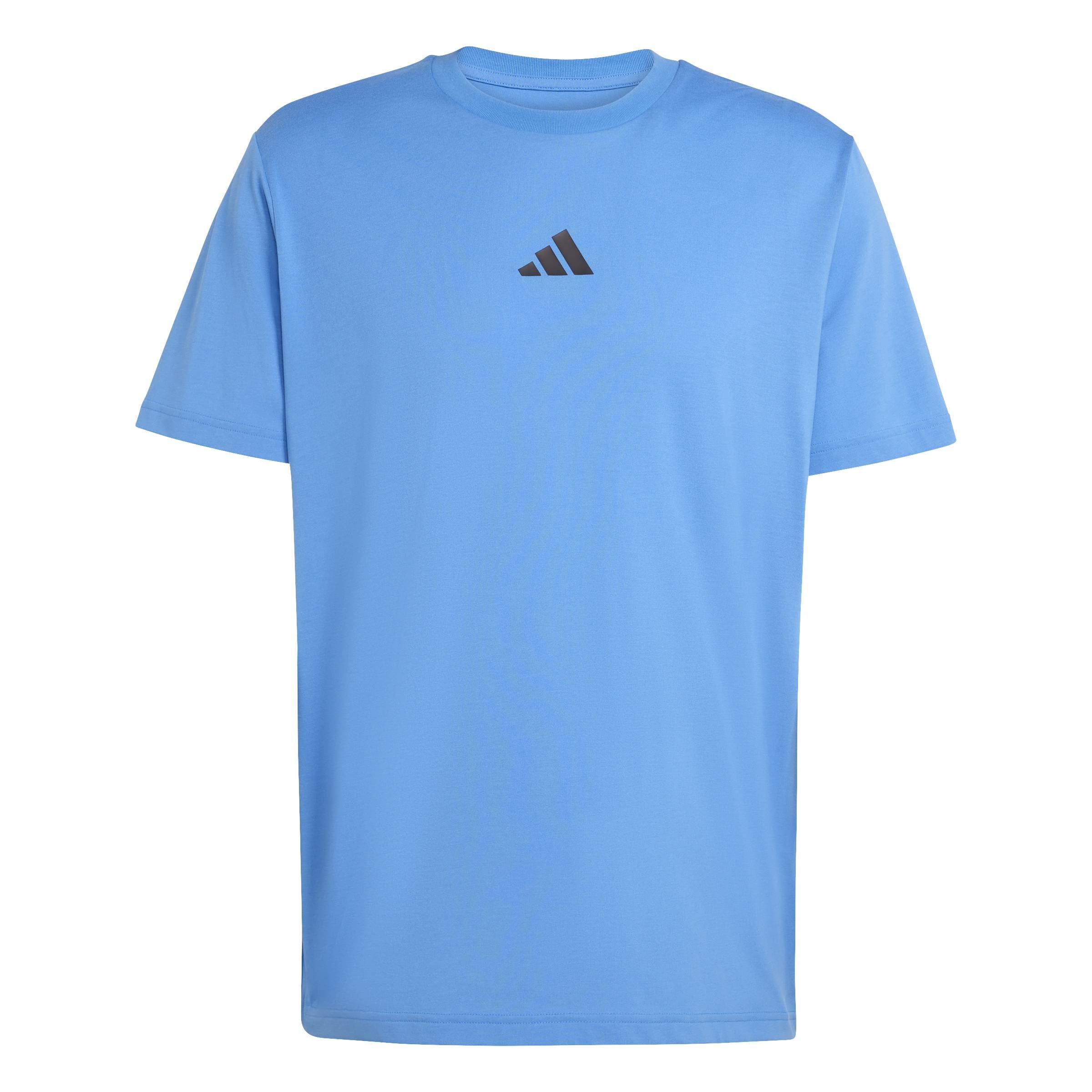 adidas Men's Climacool Training Identity Graphic T-Shirt, ray Blue, L