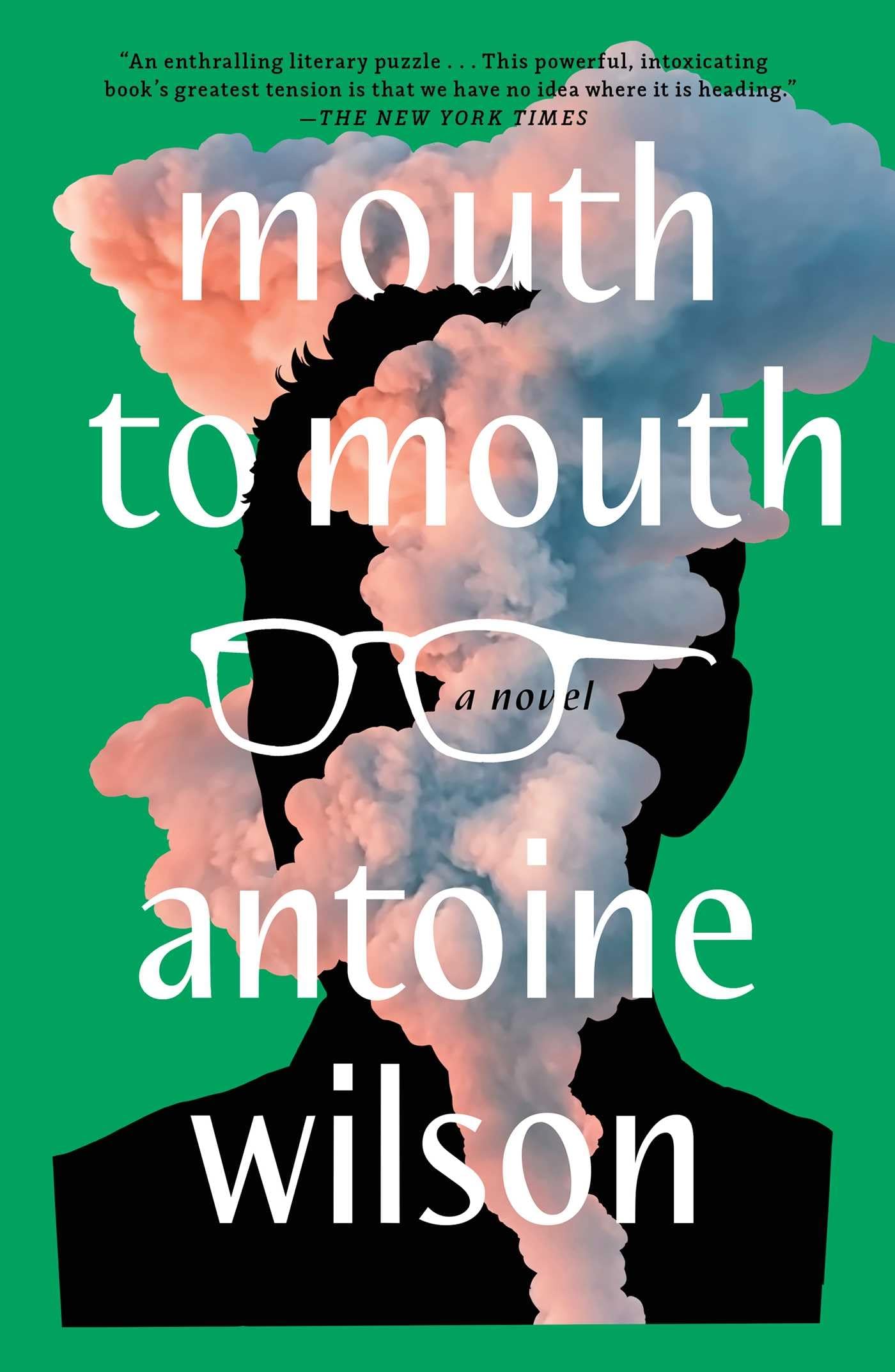 Buy Mouth to Mouth: A Novel — BookShops.in
