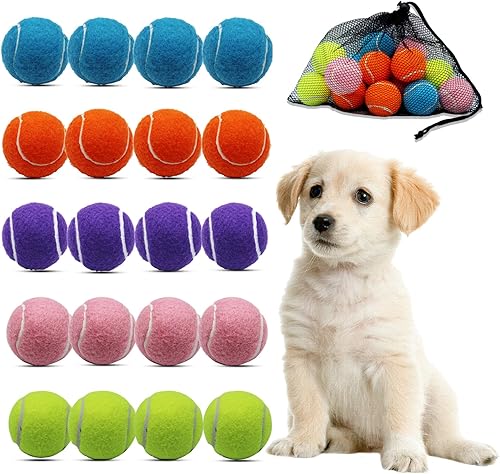 Swingers Pelotas de tenis pequeñas, paquete de 20 pelotas de tenis de entrenamiento de 2 pulgadas, pelota de ejercicio para mascotas y perros con