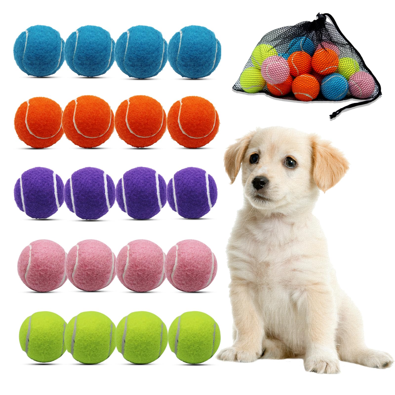 Swingers Small Tennis Balls 20 Pack 2 inch Training Tennis Balls Exercise Ball for Pet Dog with Mesh