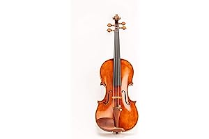Professional Handmade D Z Strad Viola Model 400