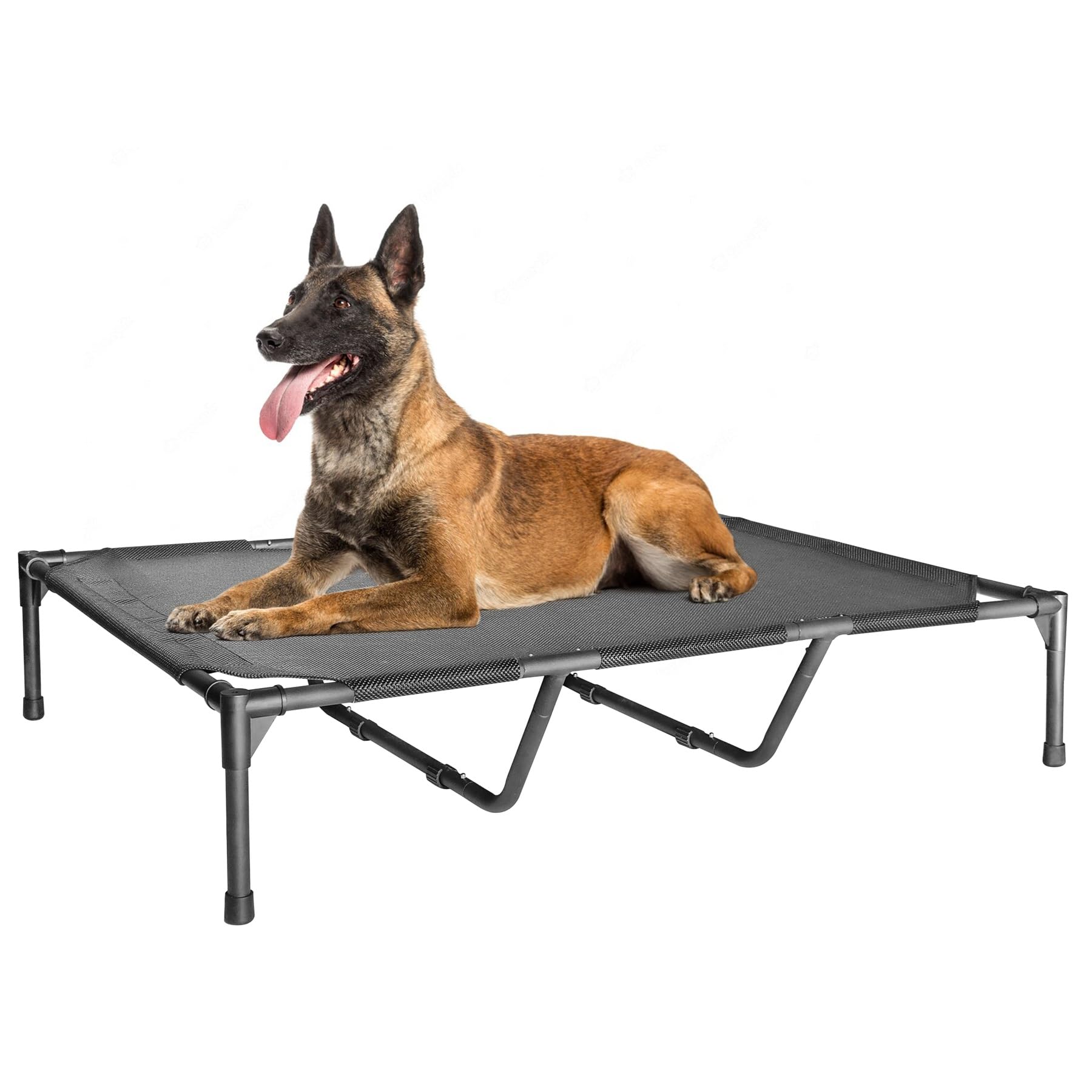 GOLOPET Elevated Dog Bed Large 44x32x9 in Raised Dog Bed for Large Dogs Cool and Breathable