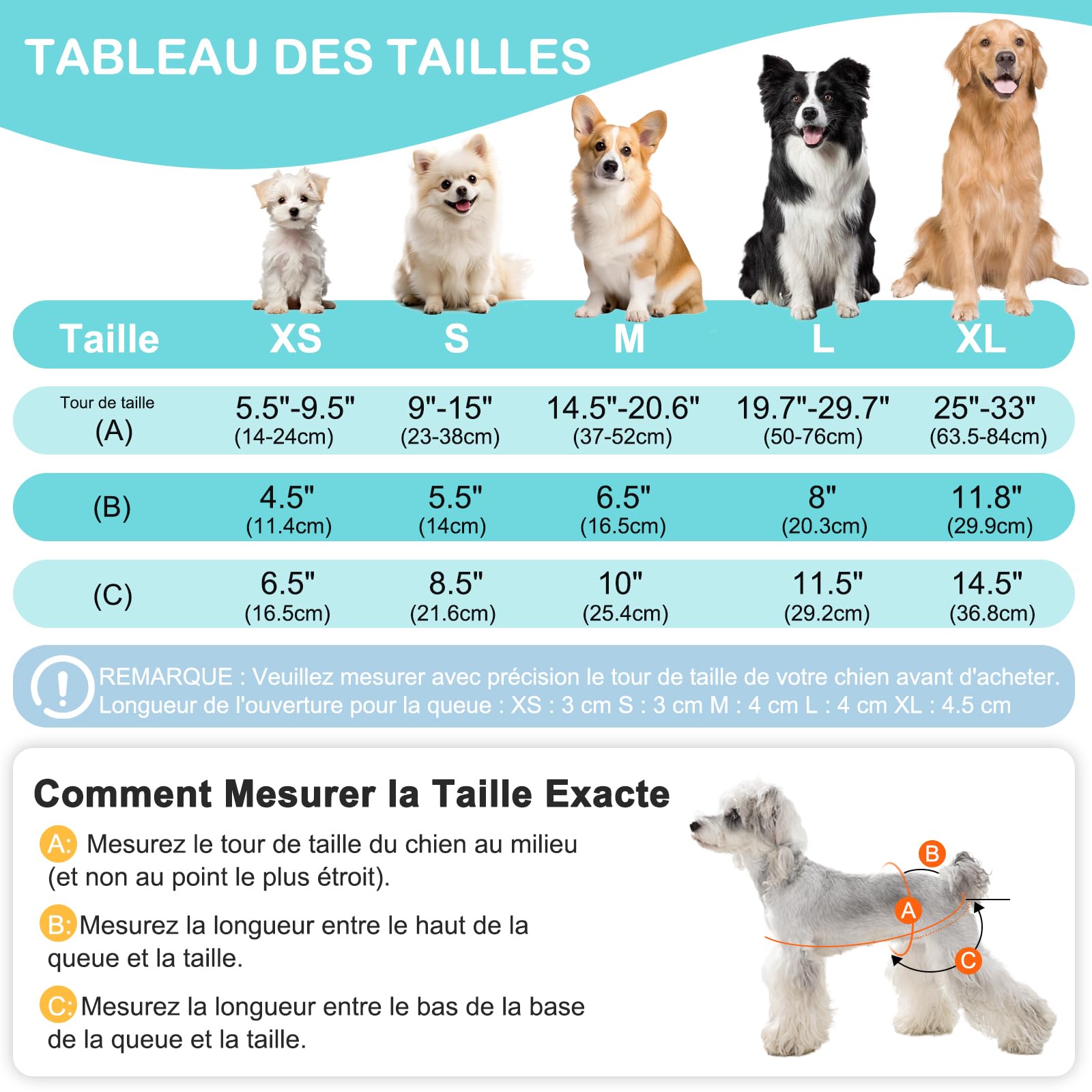 Culotte Chiennes Chaleurs XL Réutilisables, Couche pour Chien Femelle Lavables Lot de 3, Absorbantes avec Fermeture Forte
