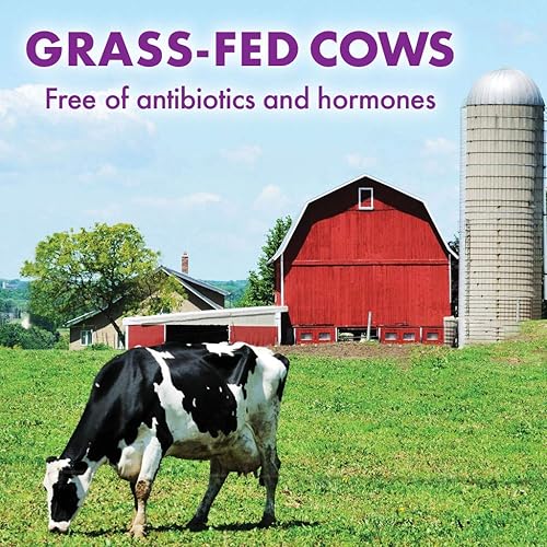 Miniatura 3 de Bluebonnet Nutrición 100 Natural Proteína WHEY Isolate Powder 743715015654 1 1