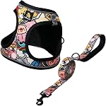 BELLA & PAL Puppy Harness with Leash Set, Dog Harness for Small Dogs No Pull, Dog Leash for Puupy, Step in Harness for Extra Small Dogs (Khaki, XS)