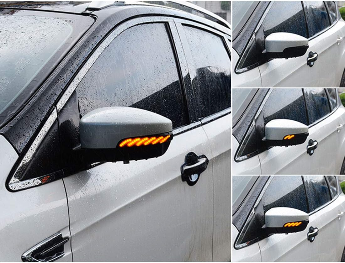 ruihe Smoked Lens Dynamic Sequential Blink LED Side Mirror Turn Signal Light Strip Assembly Compatible With Fit for Ford Focus 2012 2013 2014 2015 2016 2017 2018 MK3 RS ST