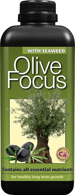 Olive Focus Liquid Concentrated Fertiliser 1 Litre