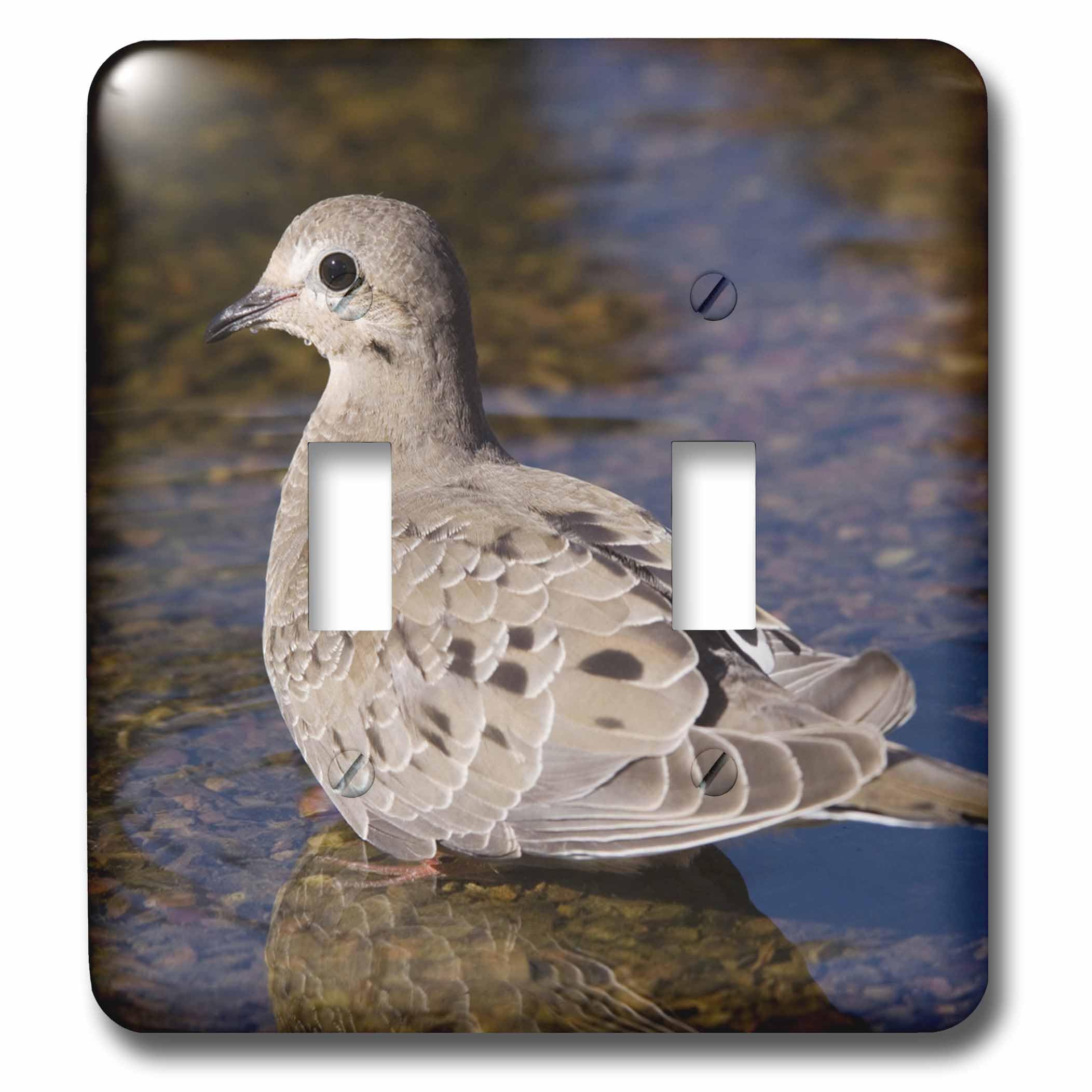 Interrupteur double imprimé tourterelle triste déco oiseau Texas