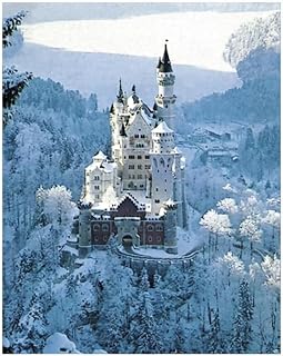 CALANDIS Picture Jigsaw Game, 1500 Piece, Winter Neuschwanstein, Adult Game