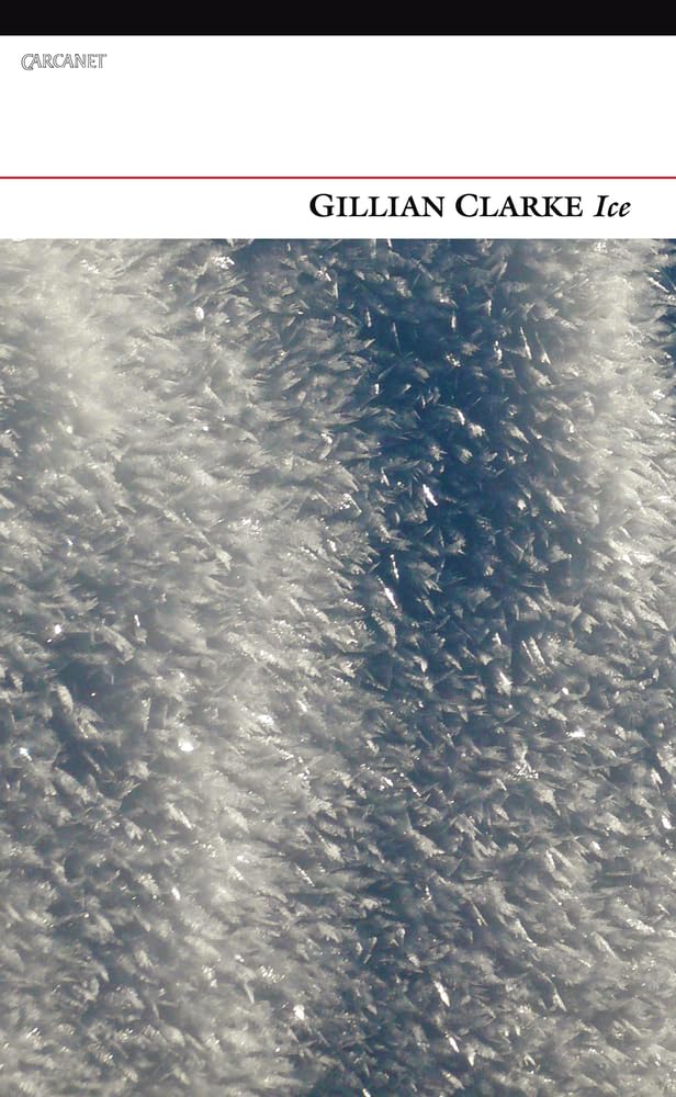 Ice by Gillian Clarke PAPERBACK 9781847771995