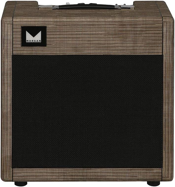 AC20 1 x 12-inch 20-watt Tube Combo Amp - Twilight