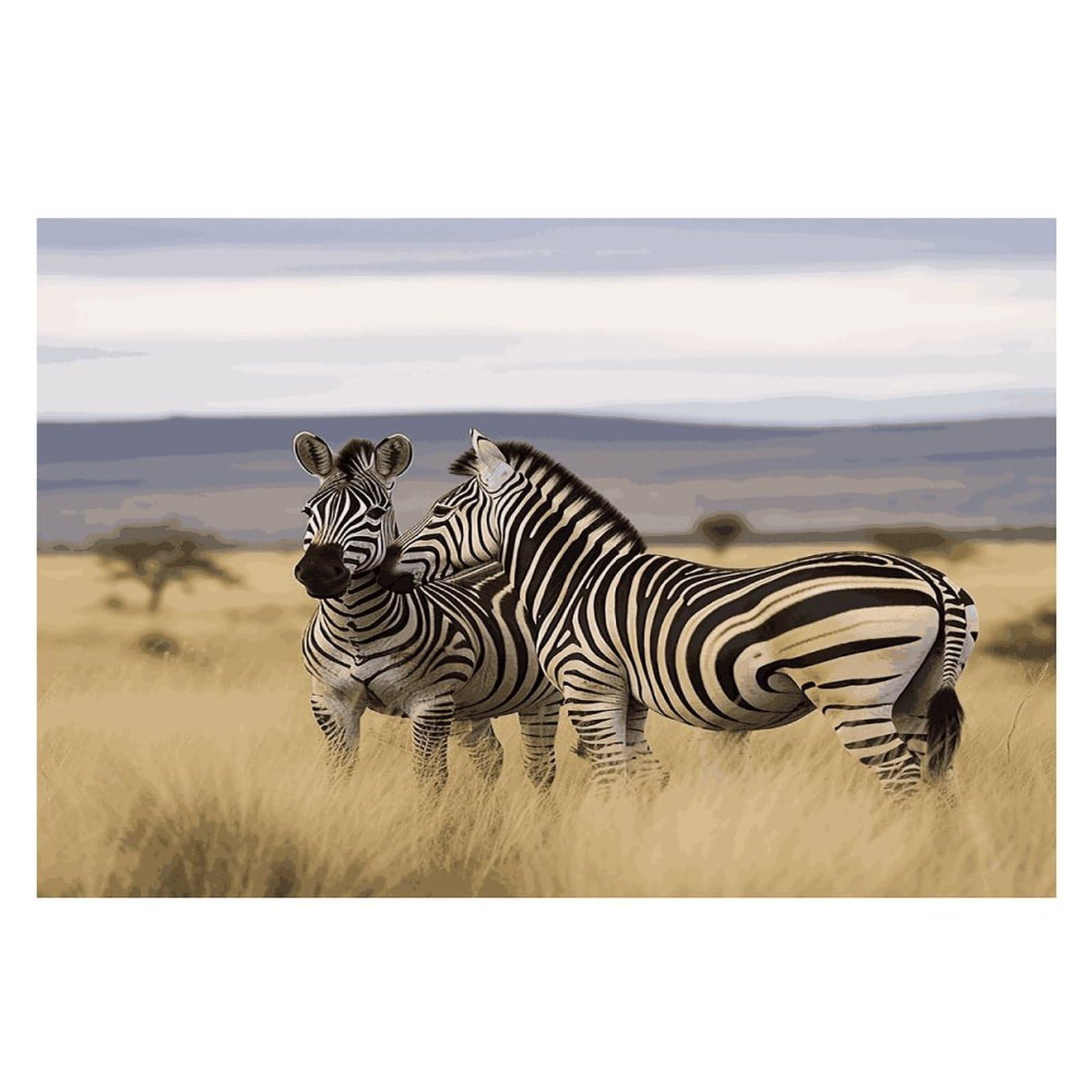Zebras on South Africa Placemats Flax Place Mats for Dining Table Rectangle Non-Slip Table Mats Heat Resistant Washable Placemat for Kitchen Home Decor Party Outdoor 12" X 18"