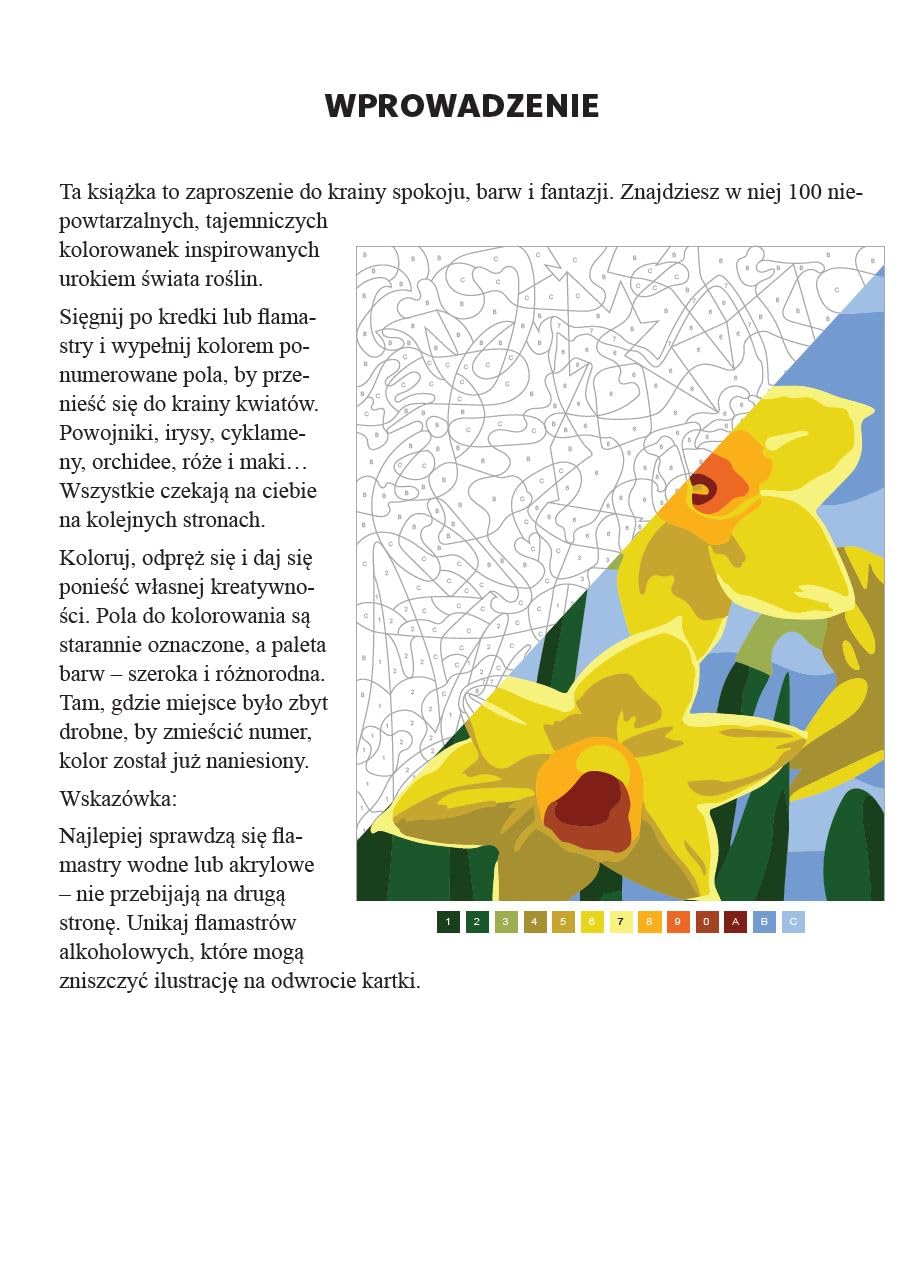 Art therapy Kolorowanka antystresowa Kwiaty