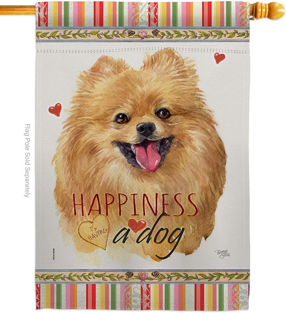 Pomeranian Happiness House Flag Animals Dog Puppy Spoiled Paw Canine Fur Pet Nature Farm Animal Creature Small Decorative Gift Yard Banner Made In USA 28 X 40
