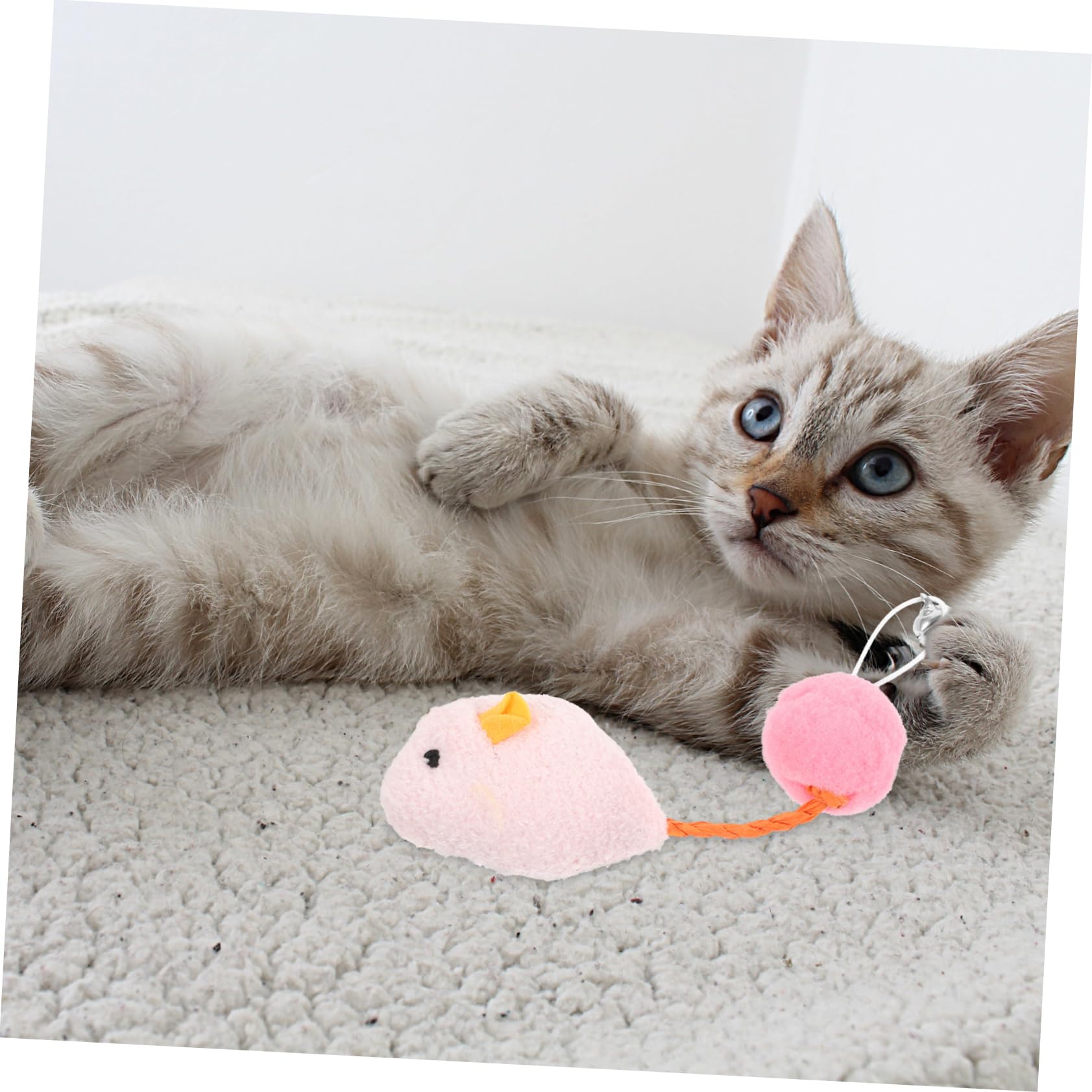 6 Pièces Souris avec Accessoires Interactifs pour Actifs Blancs