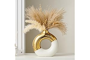 FJS Ceramic Donut Vase: A Modern Masterpiece for Home Décor