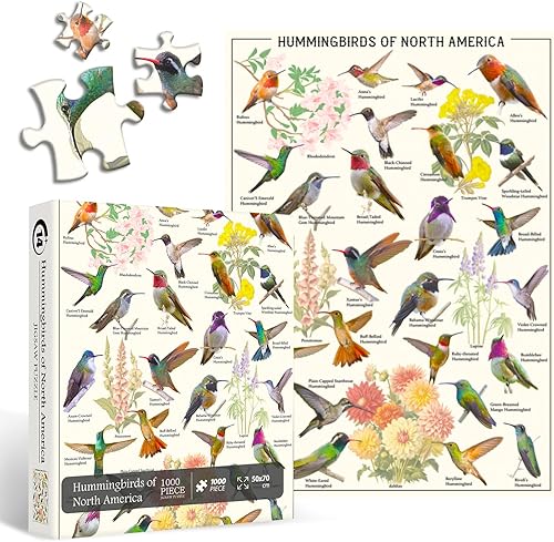 Rompecabezas de colibríes para adultos de 1000 piezas en adelante, rompecabezas vintage de pájaros coleccionan flores de colibrí, rompecabezas