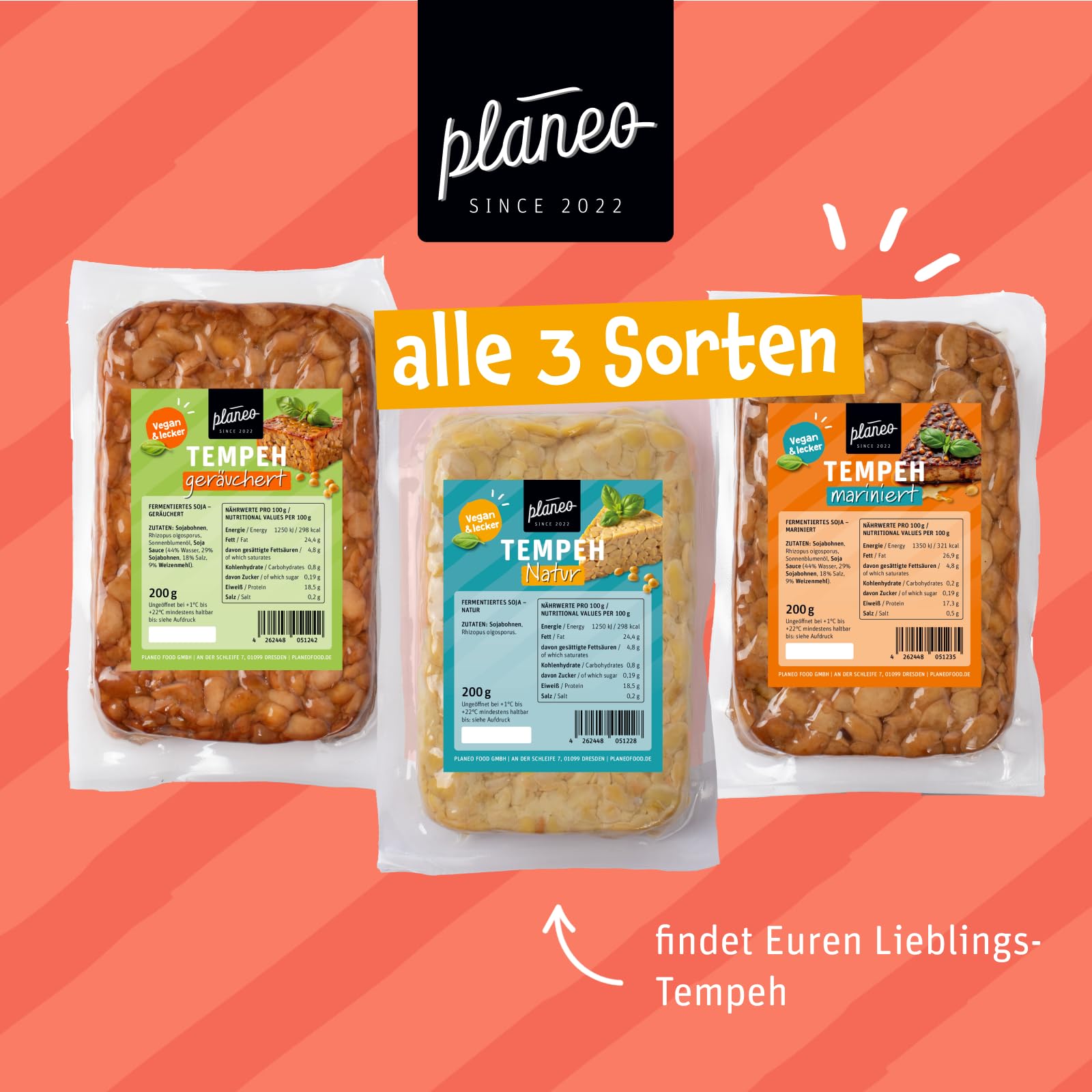 Planeo Tempeh MIX - 2x200g Natur, 2x200g Geräuchert, 2x200g Mariniert - Beste Qualität - Lange, ungekühlt haltbar - Soja aus der EU - Planeo (6 x 200g)