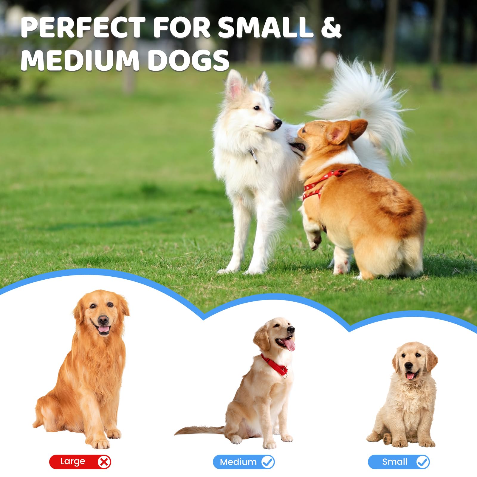 6 Piezas ETPU Pelotas de Tenis para Perros, 58mm Pelota de Tenis Impermeable, Pelota de Juego Flotante para Perros Pequeños, Pelota de Juguete Interactivas para Lanzador de Pelotas para Perro