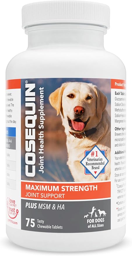 Cosequin Plus MSM and HA Chewable Tablets, 75 ct : Amazon.ae: Pet Supplies