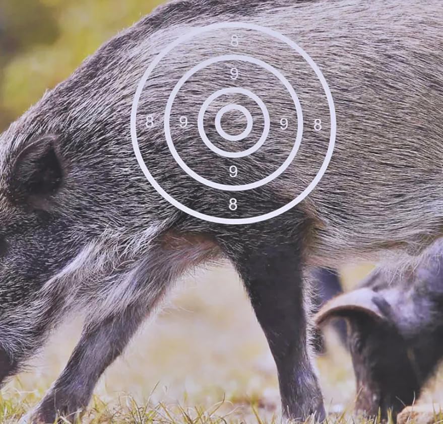 20 pcs Hunting Animal Arrow Target Paper Wild Boar Pattern 40x40 cm Bow Archery Shooting Target