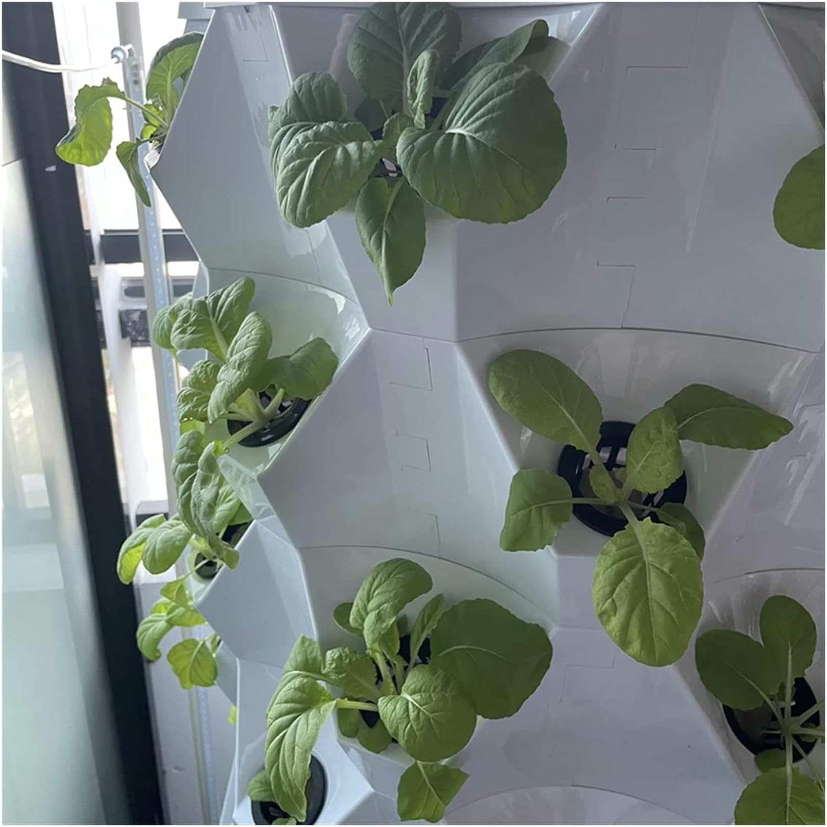Sistema de Cultivo hidropónico Kit de Cultivo hidropónico, Sistema de Cultivo hidropónico Kit de Cultivo de jardín Vertical hidropónico Inteligente Torre de Interior y Exterior para Plantar