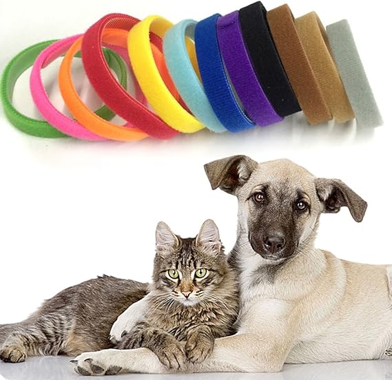 velcro kitten collars